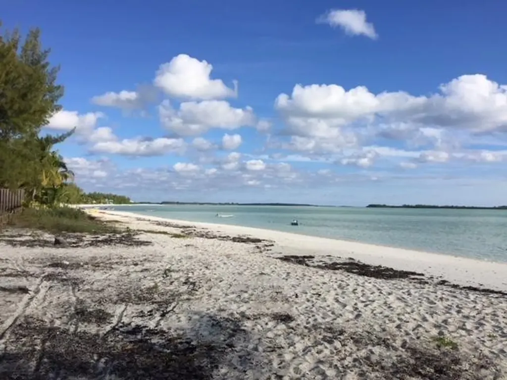 Seas The Day Abaco BS