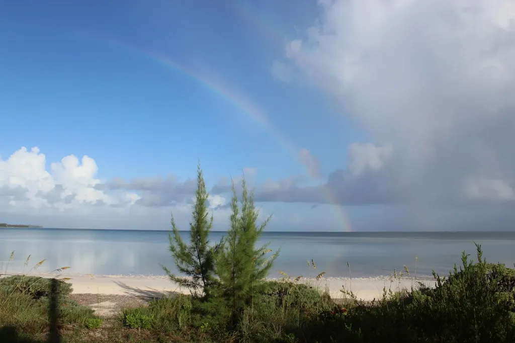 Leo Pinder Main Street 21 Street Eleuthera BS