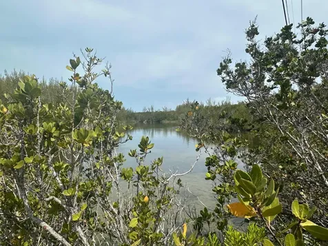 3 Green Castle Eleuthera BS