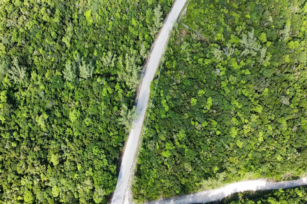 Alexander Boulevard Lot Eleuthera BS