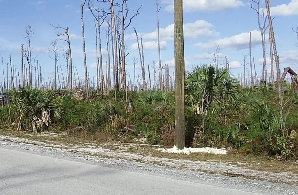 Lot 18 Blackwood Abaco BS