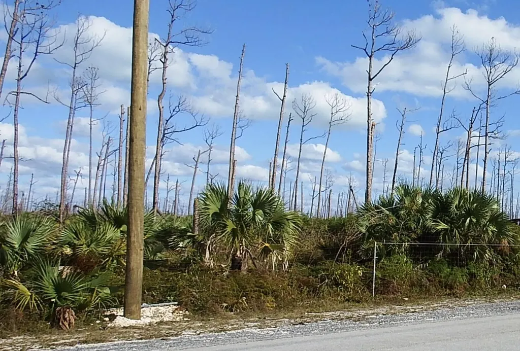 Lot 18 Blackwood Abaco BS