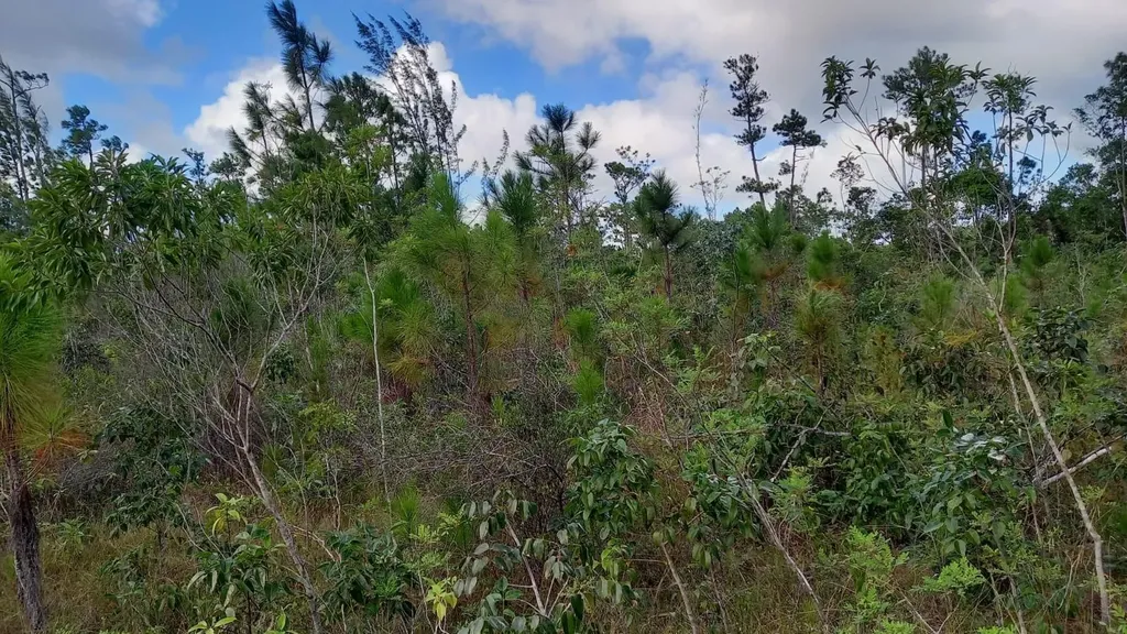 Andros Vacant Land Andros BS