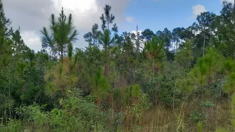 Andros Vacant Land Andros BS