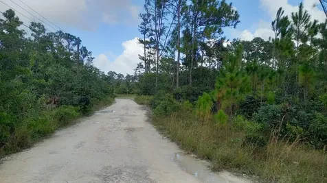 Andros Vacant Land Andros BS