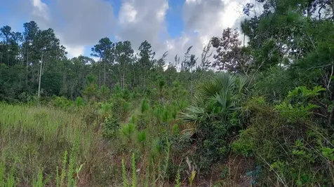 Andros Vacant Land Andros BS