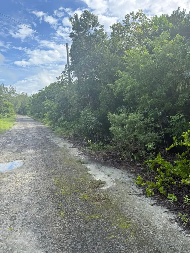 Banyan Tree Drive 30 Abaco BS