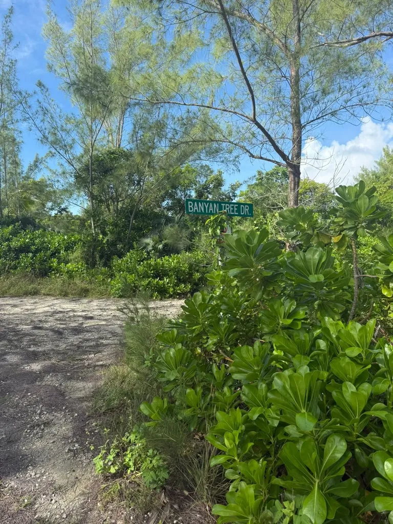 Banyan Tree Drive 30 Abaco BS