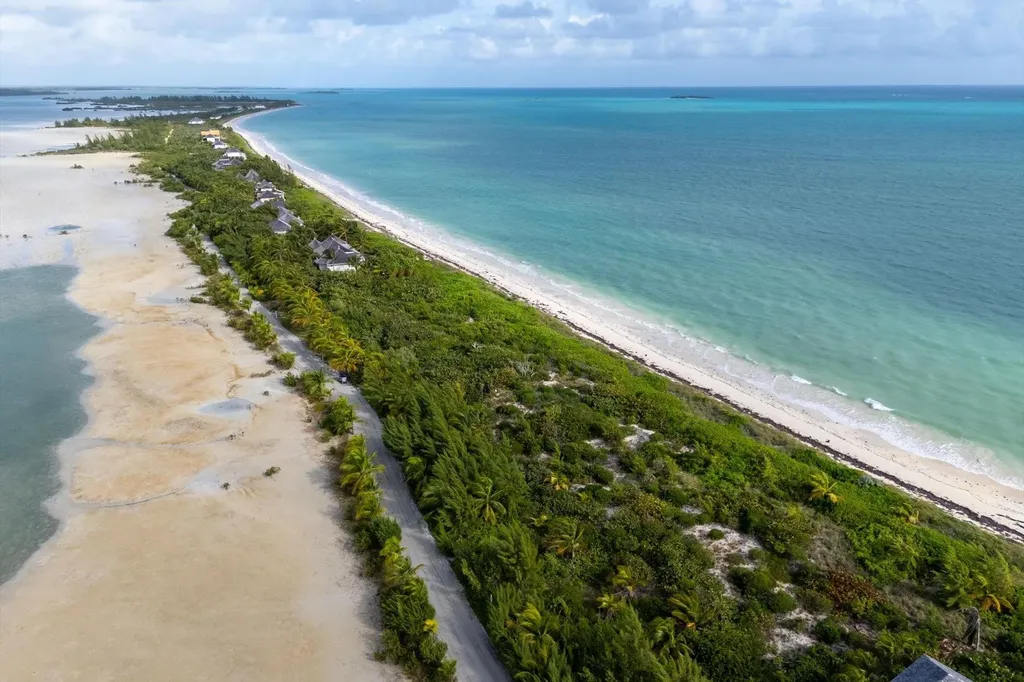 Guava Duff Andros BS