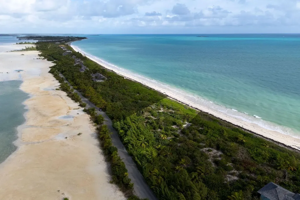 Guava Duff Andros BS