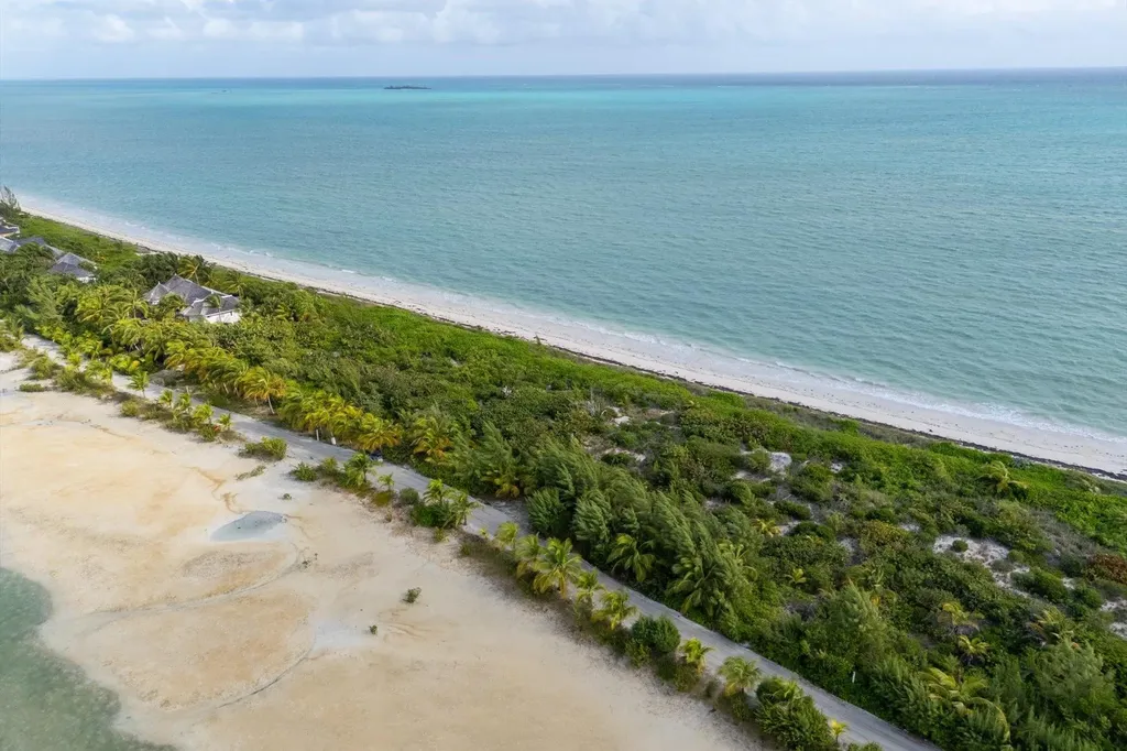 Guava Duff Andros BS