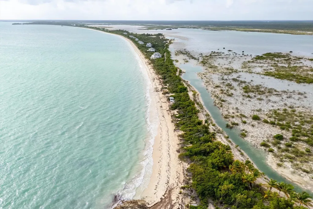 Guava Duff Andros BS