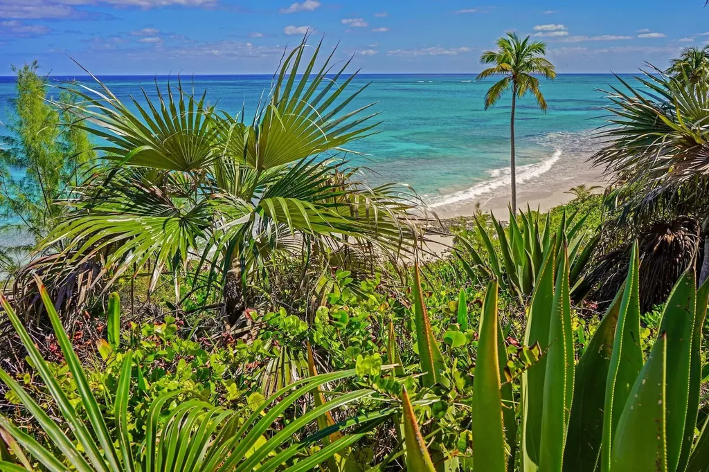 North Palmetto Point Eleuthera BS