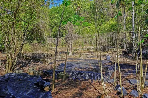 North Palmetto Point Eleuthera BS