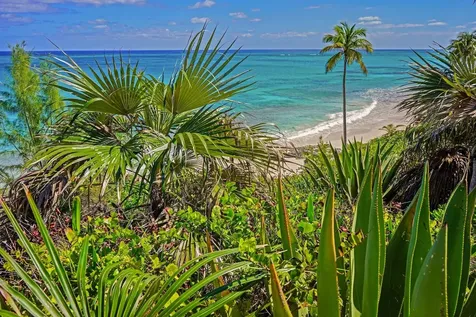 North Palmetto Point Eleuthera BS