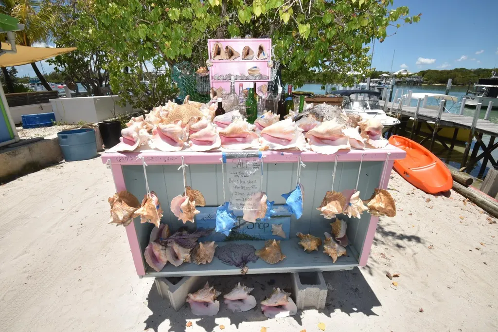 Dickies Cay Abaco BS