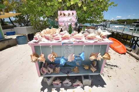 Dickies Cay Abaco BS