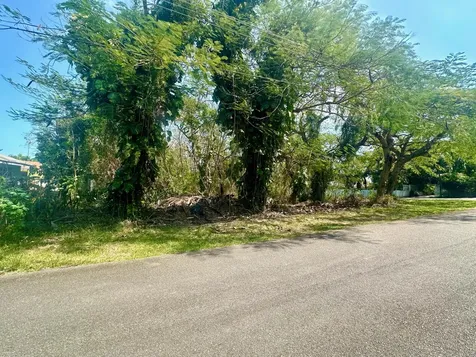 Danottage Estates New Providence Paradise Island BS