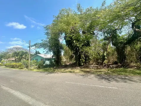 Danottage Estates New Providence Paradise Island BS