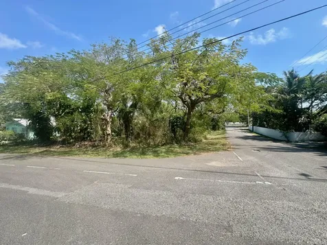 Danottage Estates New Providence Paradise Island BS