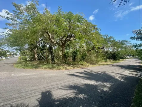 Danottage Estates New Providence Paradise Island BS