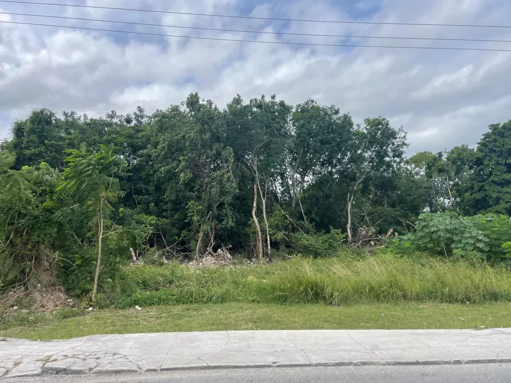 Carmichael Road New Providence Paradise Island BS