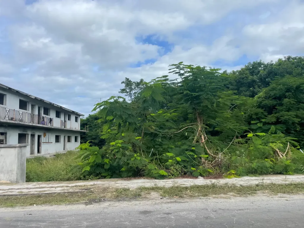 Carmichael Road New Providence Paradise Island BS