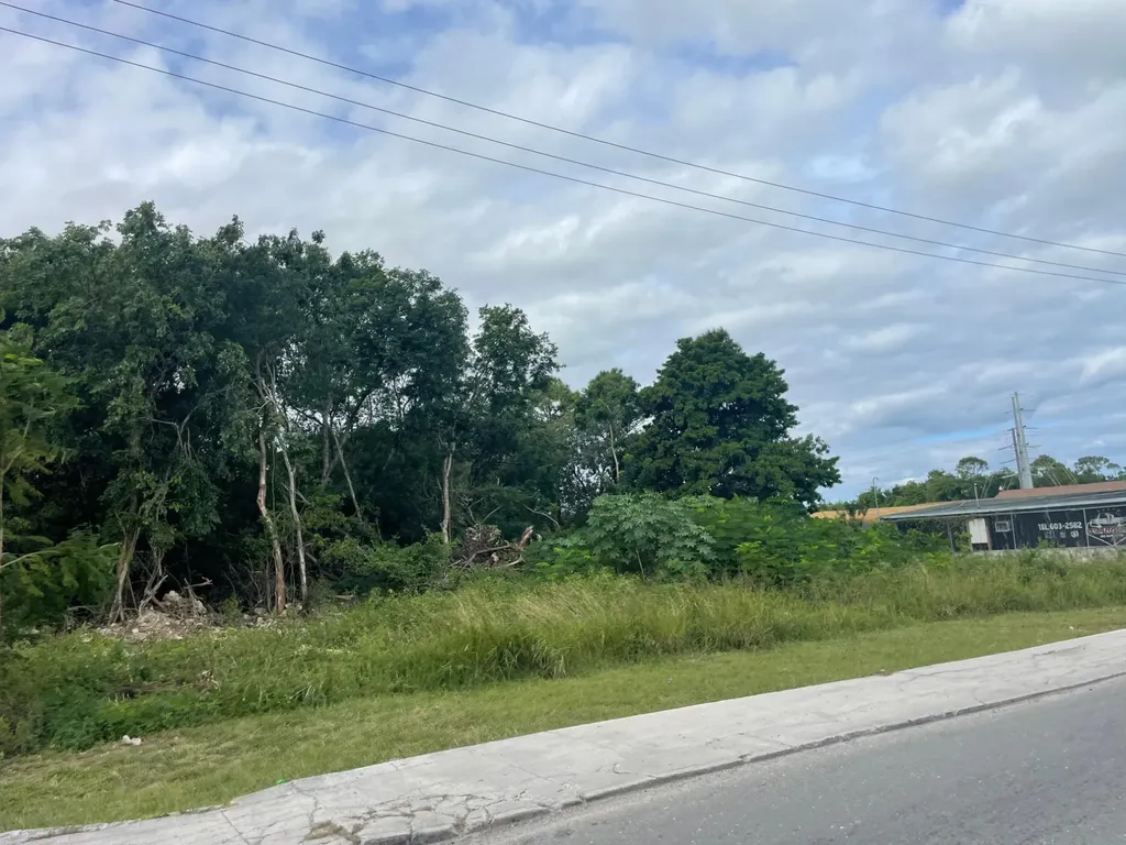 Carmichael Road New Providence Paradise Island BS