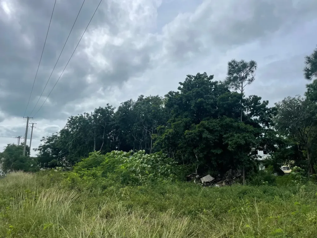 Carmichael Road New Providence Paradise Island BS