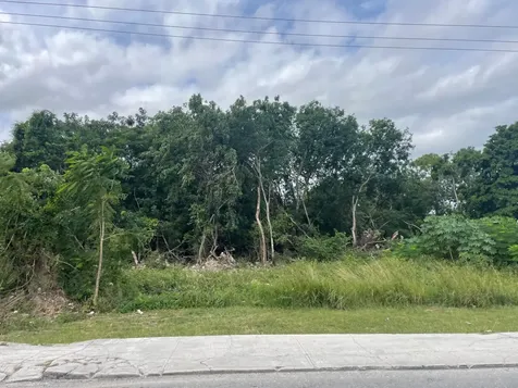 Carmichael Road New Providence Paradise Island BS