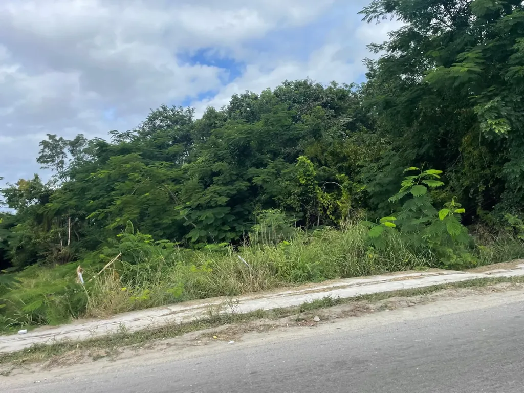 Carmichael Road 32 New Providence Paradise Island BS