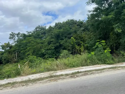 Carmichael Road 32 New Providence Paradise Island BS