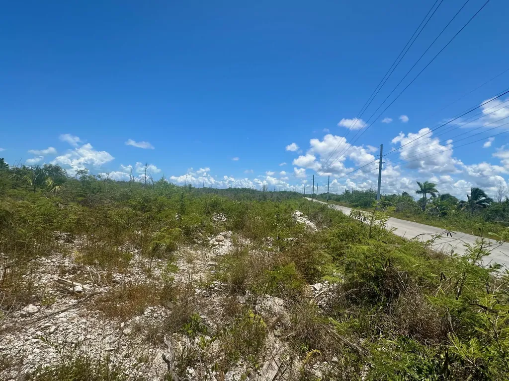 Bustic Bight Abaco BS