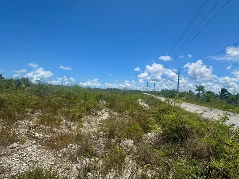 Bustic Bight Abaco BS