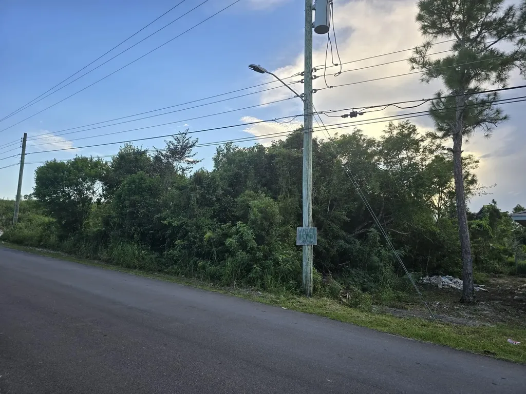 Boatswain Hill East 4a New Providence Paradise Island BS