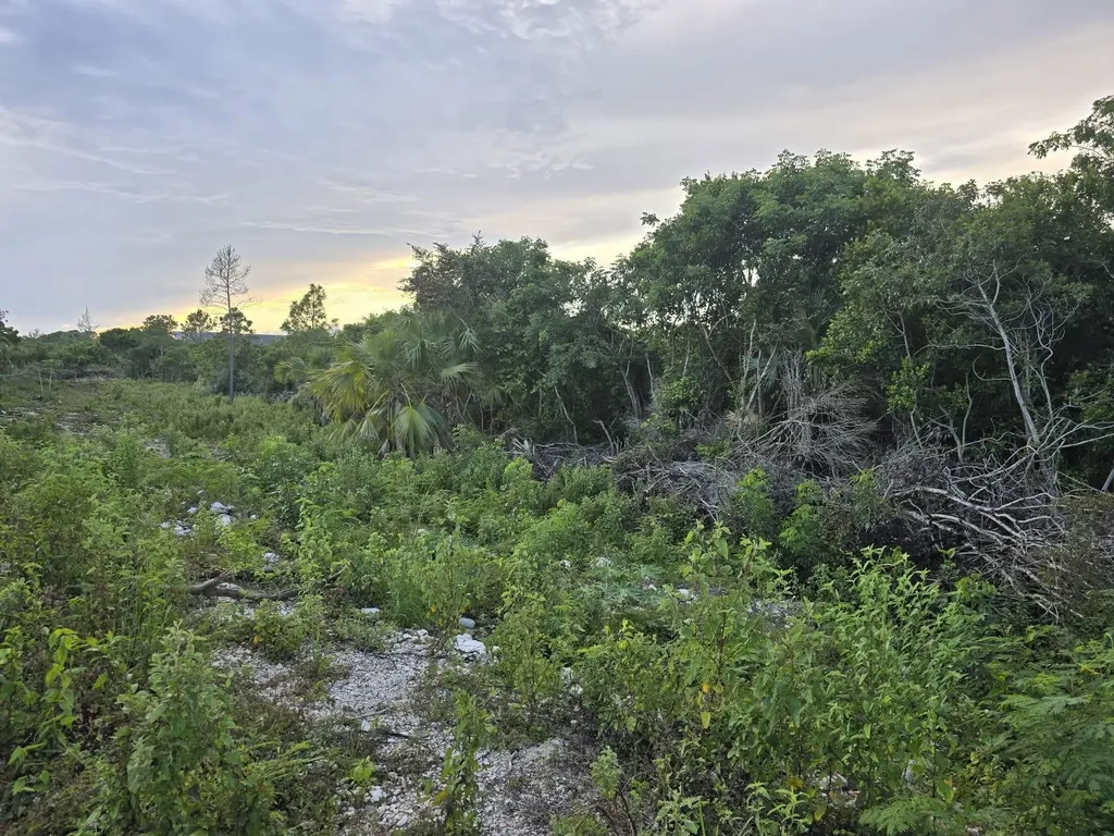 Boatswain Hill East 4a New Providence Paradise Island BS
