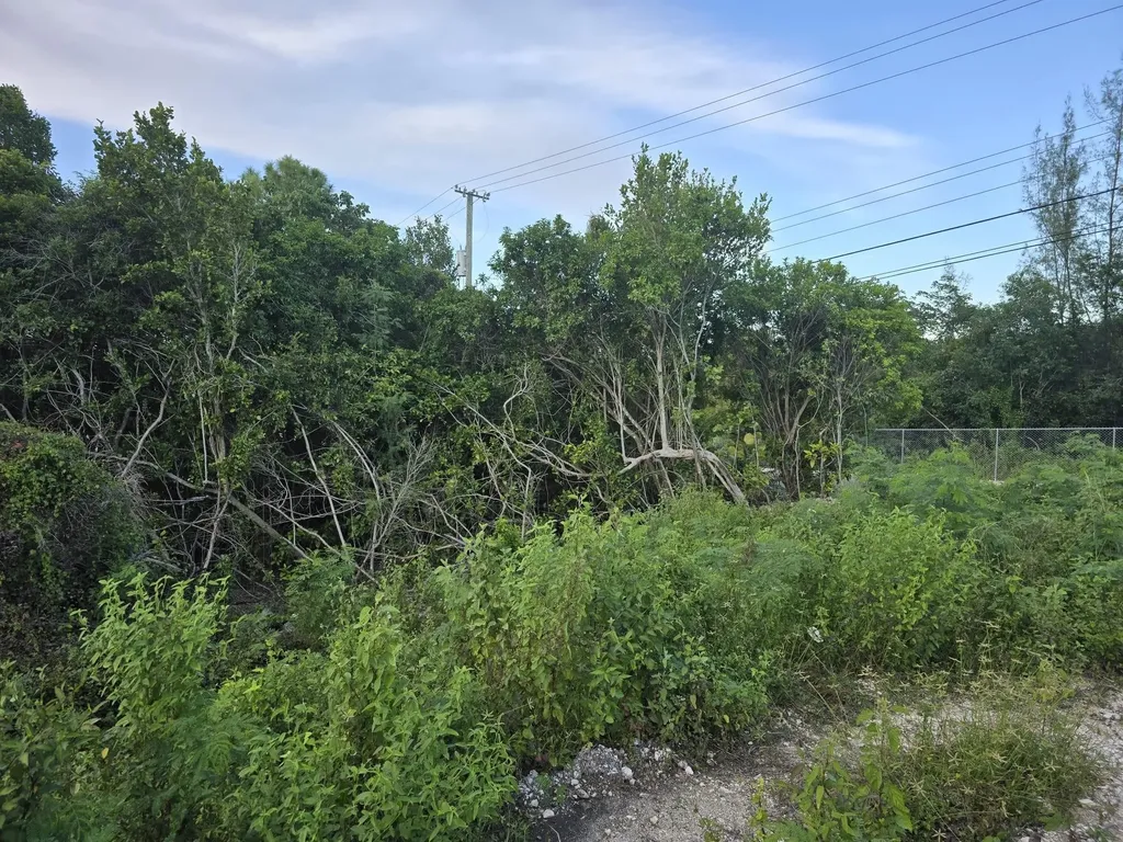 Boatswain Hill East 4a New Providence Paradise Island BS