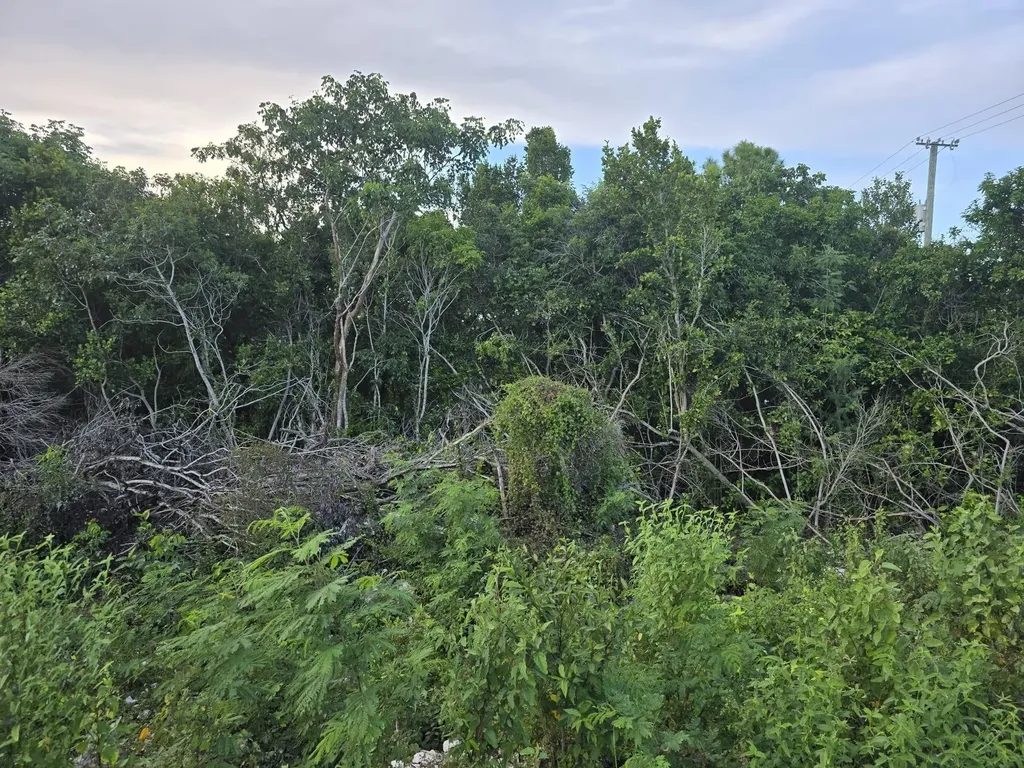 Boatswain Hill East 4a New Providence Paradise Island BS