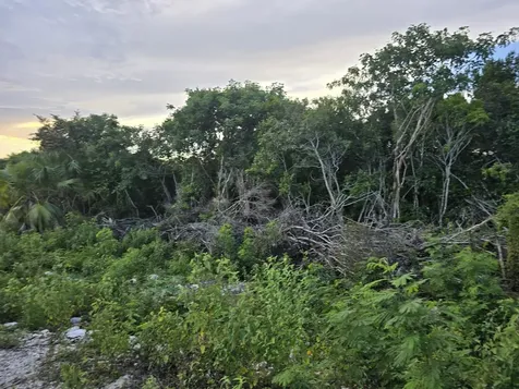 Boatswain Hill East 4b New Providence Paradise Island BS