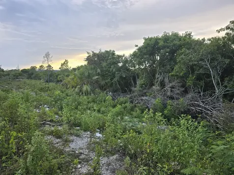 Boatswain Hill East 4a New Providence Paradise Island BS