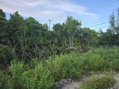 Boatswain Hill East 4b New Providence Paradise Island BS