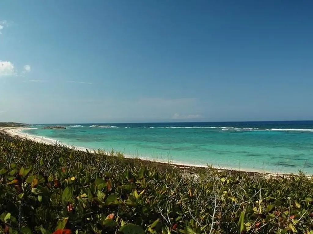 Beachfront Lot - Mckann's Long Island BS