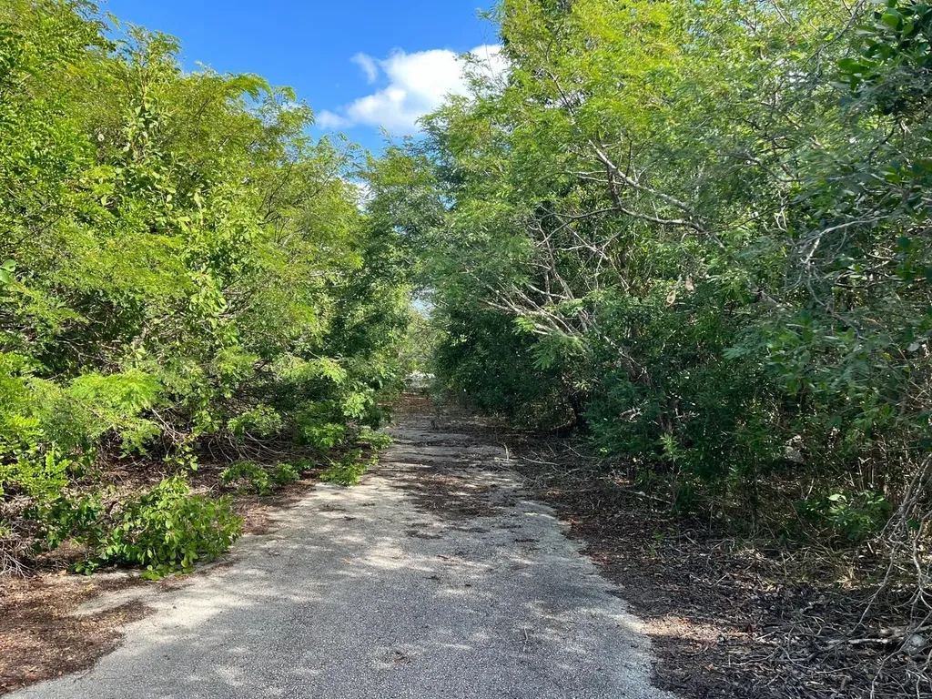 97 Moss Town, Exuma Exuma BS