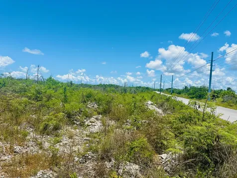 Bustic Bight Abaco BS