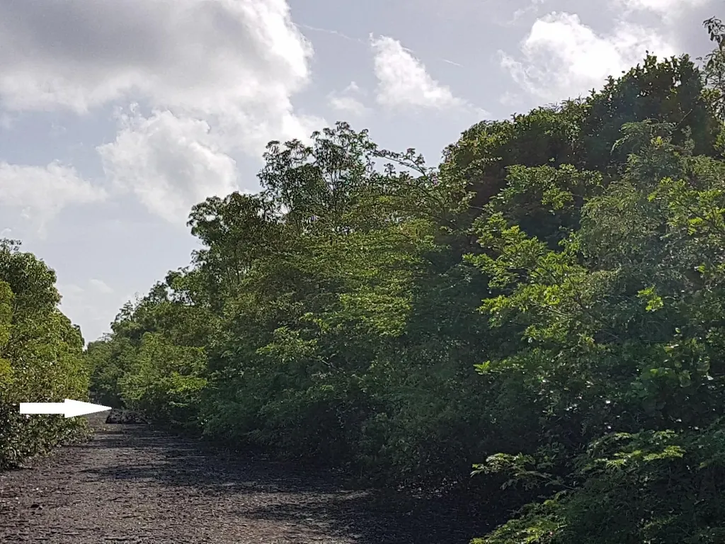 Lots 5503 5504 Bah S 7e Exuma BS