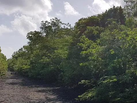 Lots 5503 5504 Bah S 7e Exuma BS