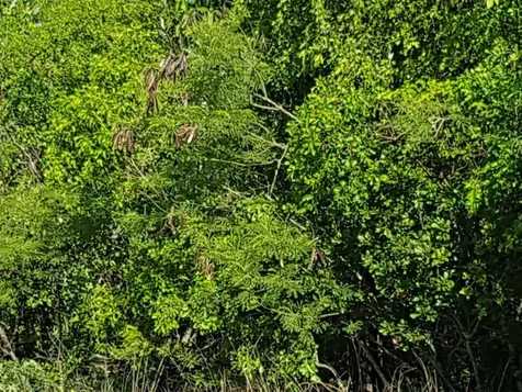 Lots 5503 5504 Bah S 7e Exuma BS