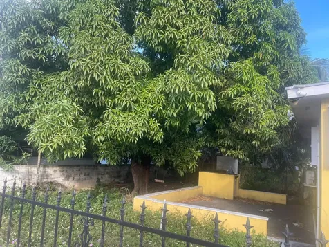 Tonique Darling Highway New Providence Paradise Island BS