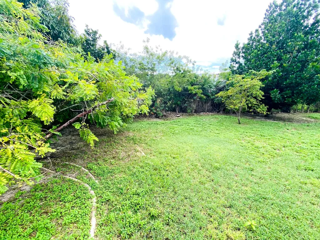 Crow's Nest Cove 5 Grand Bahama Freeport BS