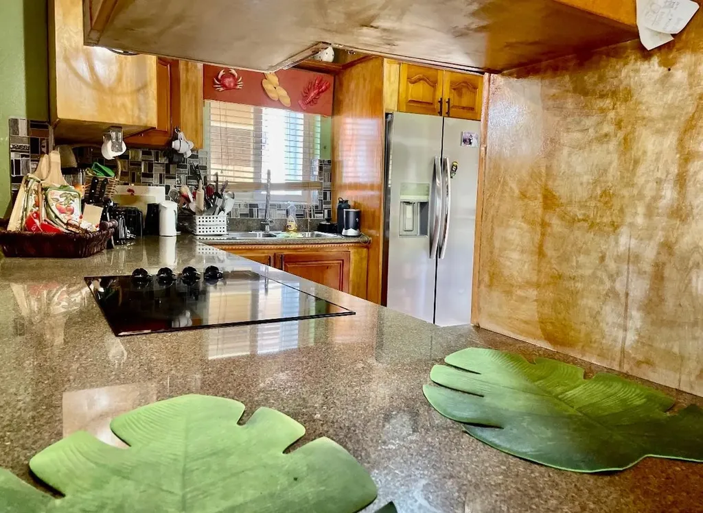 Hosta Close Tropical Gard New Providence Paradise Island BS